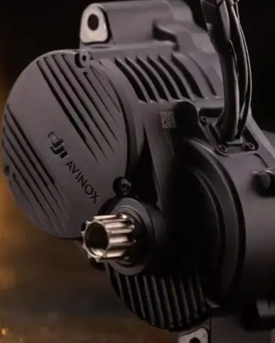 DJI GYEDI & CO